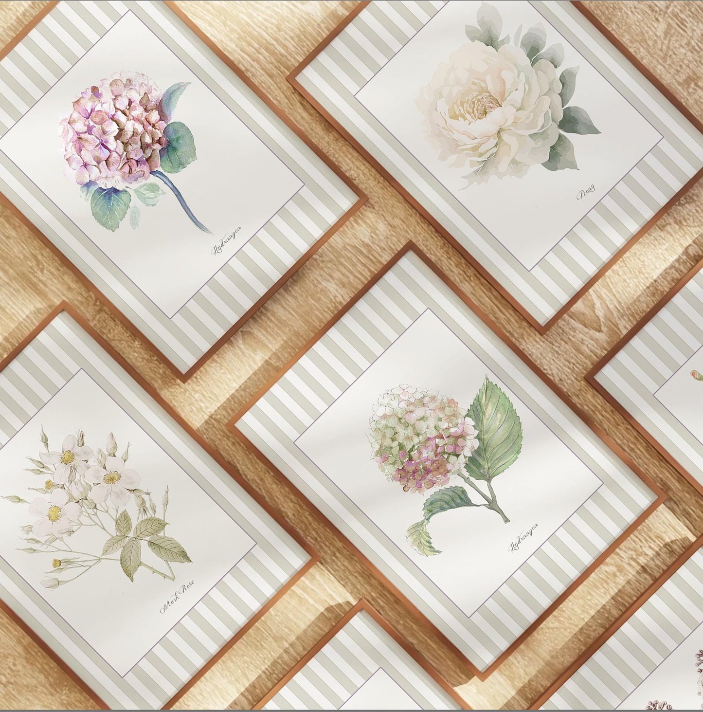 Marguerite Wall Art Botanical Illustration Vintage Flowers Striped Artwork
