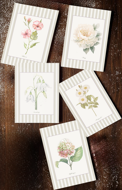 Curated Set of 5 Large Botanical Greeting Cards, Floral Watercolor Birtday Wishes