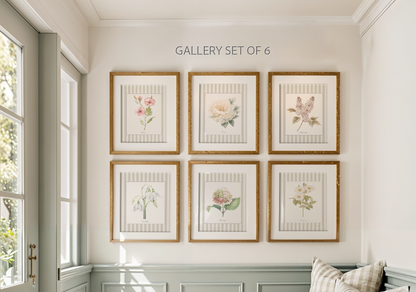Floral Gallery Set of 6, Botanical Watercolor Illustrations, Snowdrops, Hibiscus, Peony, Hydrangea, White Lilac, Marguerite