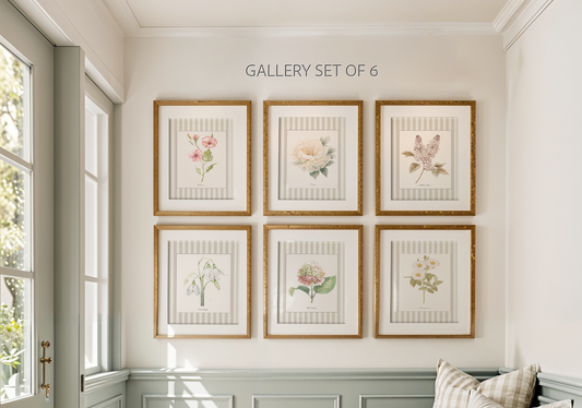 Floral Gallery Set of 6, Botanical Watercolor Illustrations, Snowdrops, Hibiscus, Peony, Hydrangea, White Lilac, Marguerite