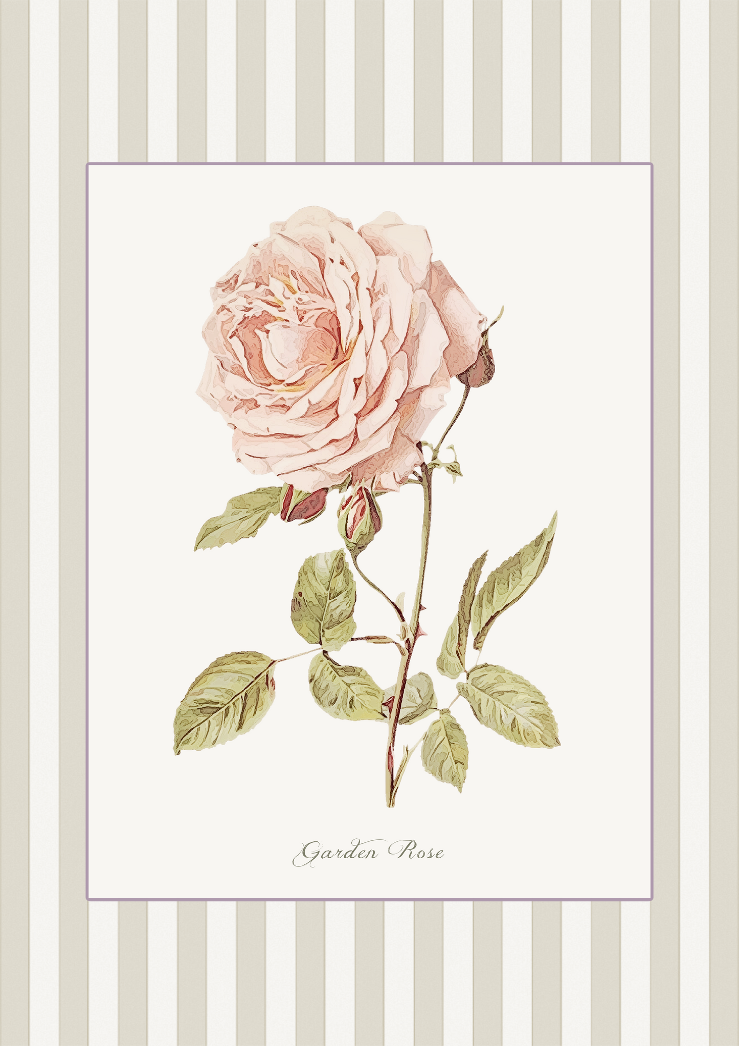 Curated Set of 5 Large Botanical Greeting Cards, Floral Watercolor Birtday Wishes