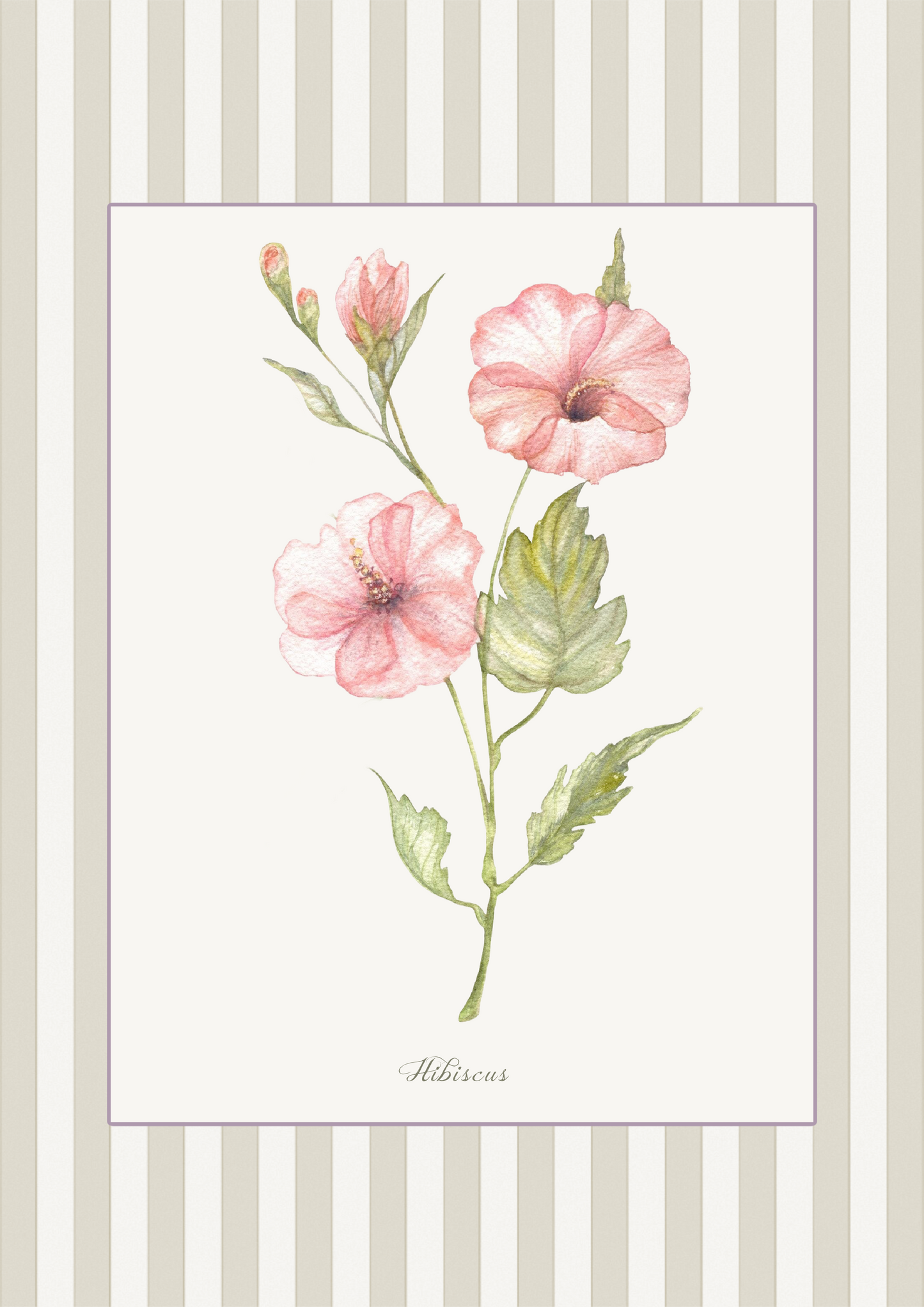 Curated Set of 5 Large Botanical Greeting Cards, Floral Watercolor Birtday Wishes