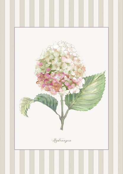 Curated Set of 5 Large Botanical Greeting Cards, Floral Watercolor Birtday Wishes