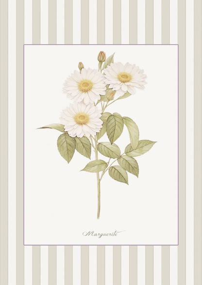 Curated Set of 5 Large Botanical Greeting Cards, Floral Watercolor Birtday Wishes