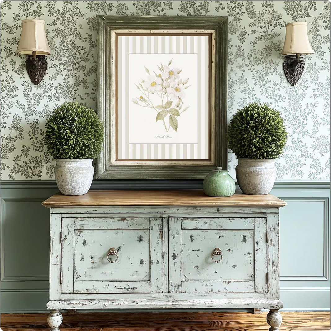 La Rose Musquee Watercolor Print on Striped Background