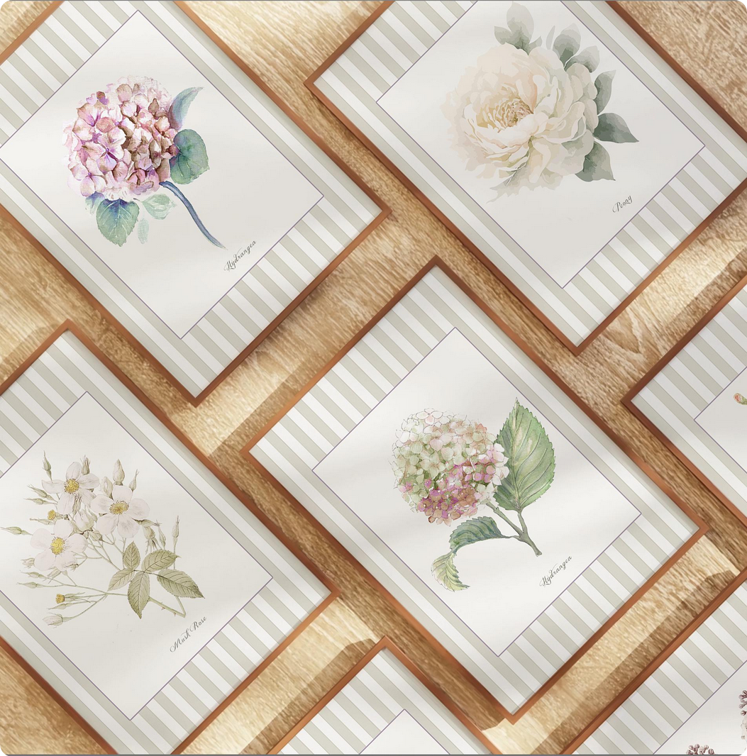 La Rose Musquee Watercolor Print on Striped Background