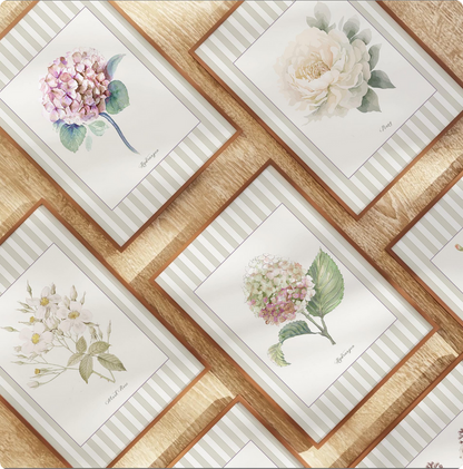 La Rose Musquee Watercolor Print on Striped Background