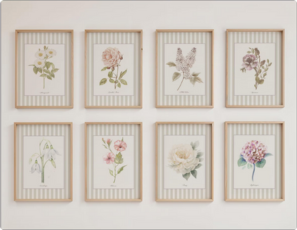 La Rose Musquee Watercolor Print on Striped Background