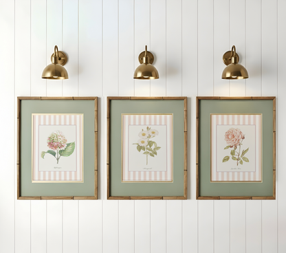 Pastel Pink White Striped Garden Rose Watercolor Print, Botanical Illustration Cottage Garden Artwork