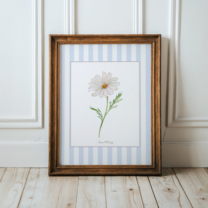 Daisy Watercolor Illustration, Sweet Daisy Summer Print