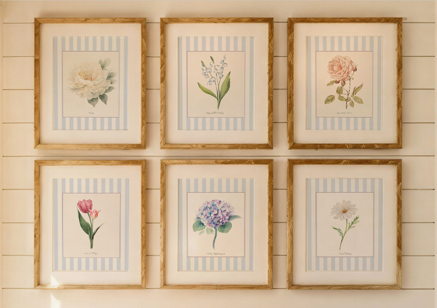 Floral Gallery Wall Collection of 6 Cotswolds Wildflower Botanical Watercolor Print Set Cottage Garden