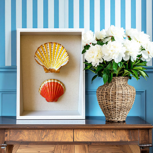 Coral Sunshine