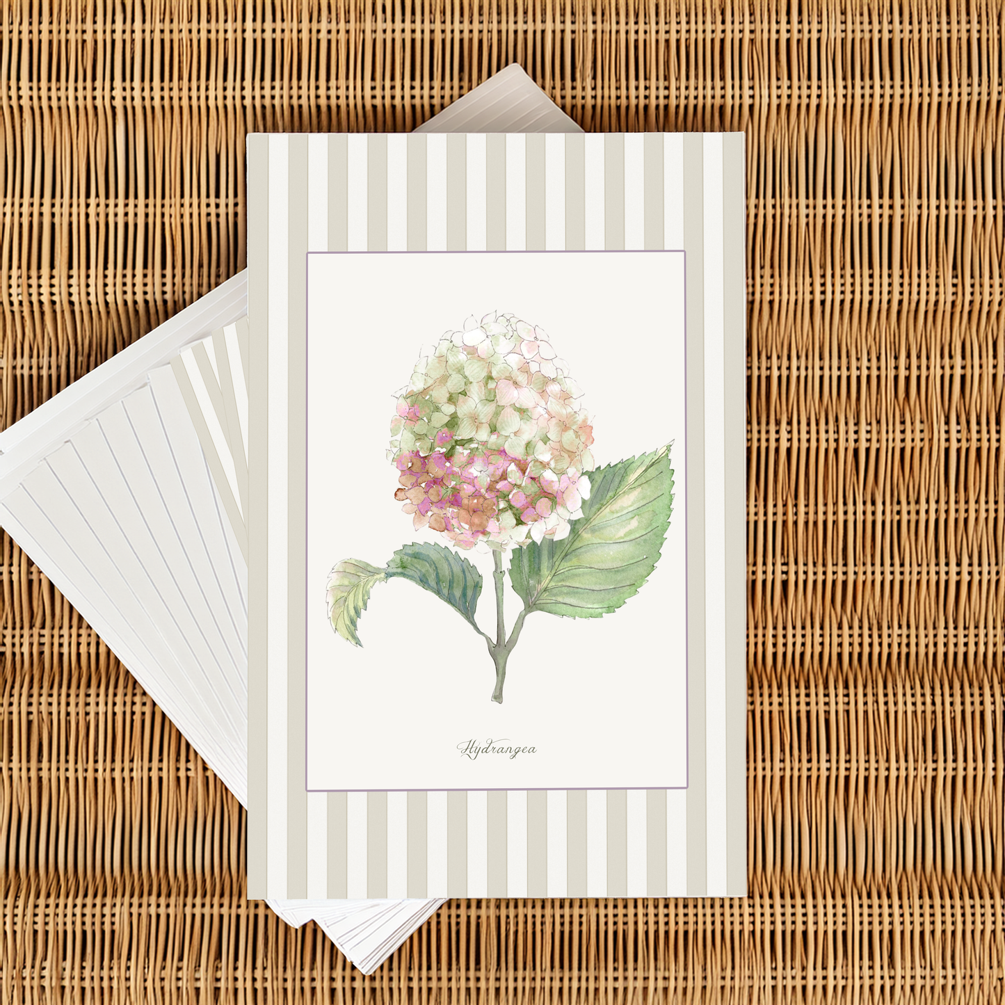 Curated Set of 5 Large Botanical Greeting Cards, Floral Watercolor Birtday Wishes