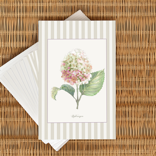 Curated Set of 5 Large Botanical Greeting Cards, Floral Watercolor Birtday Wishes