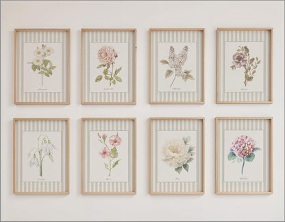 Botanical Watercolor Poster Hibiskus Print Set of 3