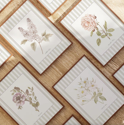 Marguerite Wall Art Botanical Illustration Vintage Flowers Striped Artwork