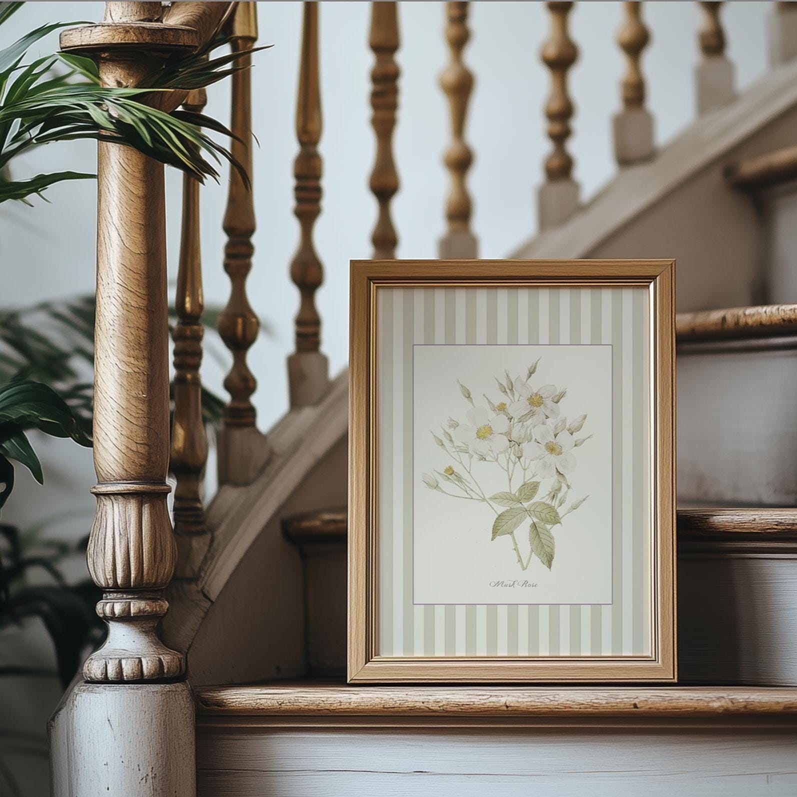 Flower Wall Art Botanical Illustration Musk Rose Vintage Garden Wildflower Wall Art