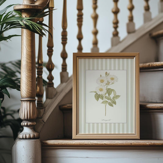 Marguerite Wall Art Botanical Illustration Vintage Flowers Striped Artwork