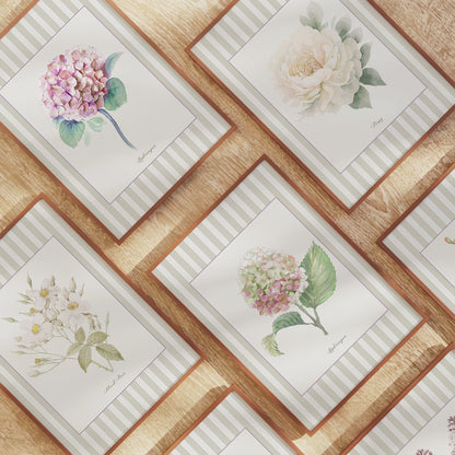 Curated Set of 5 Large Botanical Greeting Cards, Floral Watercolor Birtday Wishes